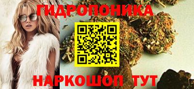 сатива Моздок