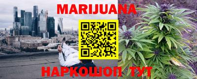 сатива Моздок
