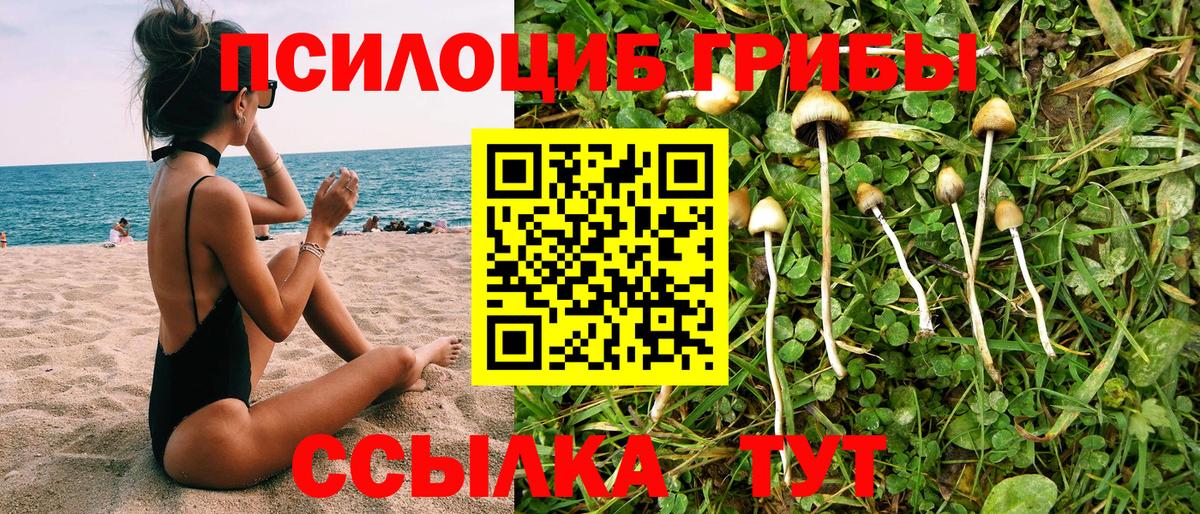 Карабулак  Галлюциногенные грибы ЛСД  Вход с VPN 